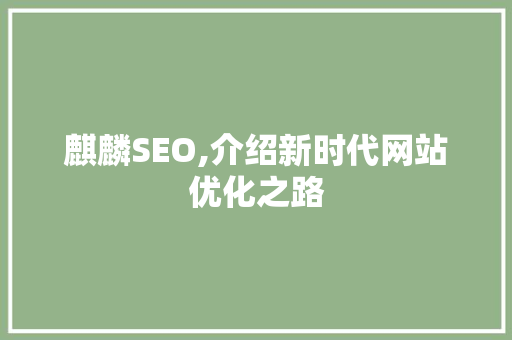 麒麟SEO,介绍新时代网站优化之路