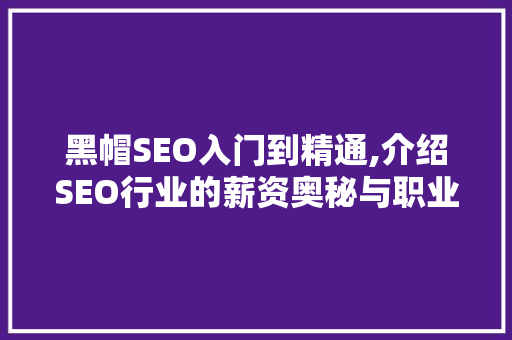 黑帽SEO入门到精通,介绍SEO行业的薪资奥秘与职业发展