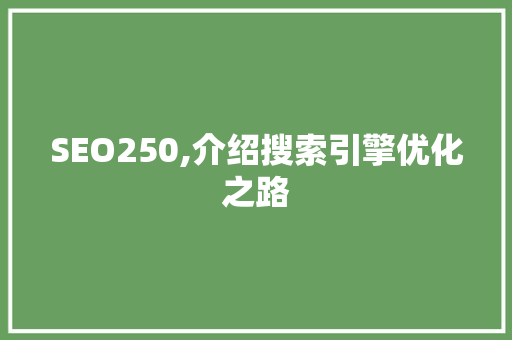 SEO250,介绍搜索引擎优化之路