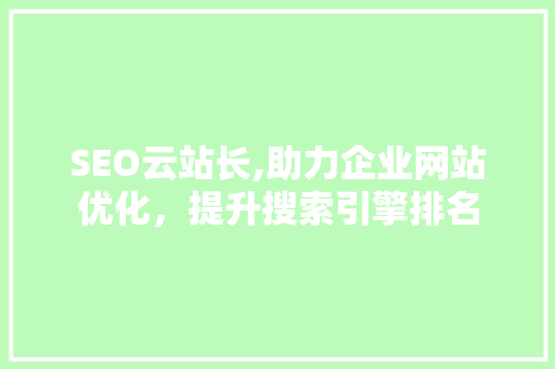 SEO云站长,助力企业网站优化，提升搜索引擎排名