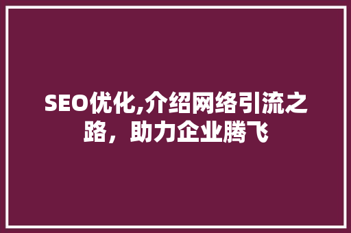 SEO优化,介绍网络引流之路，助力企业腾飞