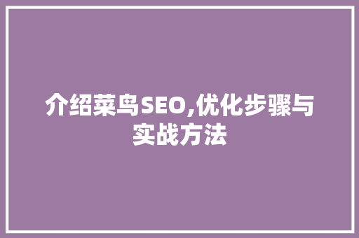 介绍菜鸟SEO,优化步骤与实战方法