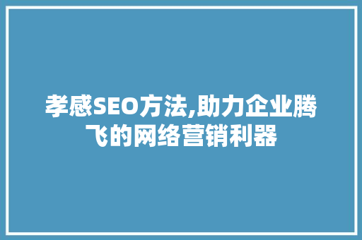 孝感SEO方法,助力企业腾飞的网络营销利器