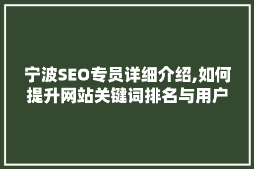 宁波SEO专员详细介绍,如何提升网站关键词排名与用户体验