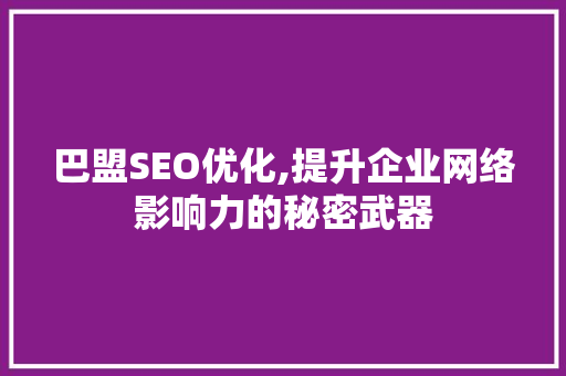 巴盟SEO优化,提升企业网络影响力的秘密武器