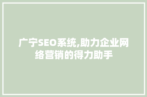 广宁SEO系统,助力企业网络营销的得力助手
