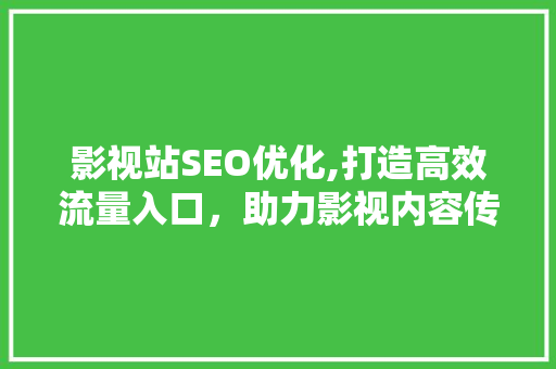 影视站SEO优化,打造高效流量入口，助力影视内容传播