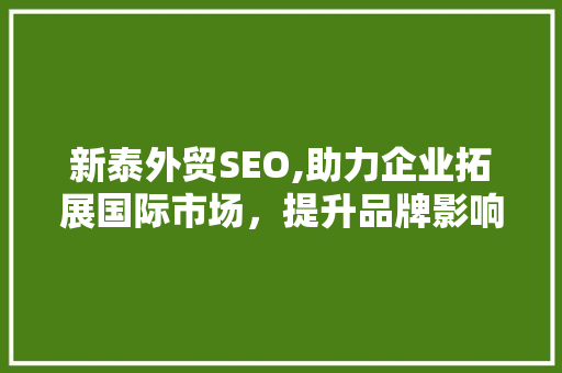 新泰外贸SEO,助力企业拓展国际市场，提升品牌影响力
