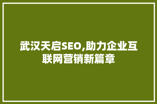 武汉天启SEO,助力企业互联网营销新篇章