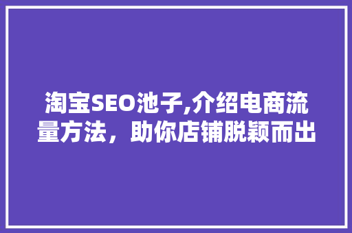 淘宝SEO池子,介绍电商流量方法，助你店铺脱颖而出