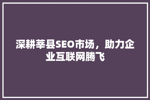 深耕莘县SEO市场，助力企业互联网腾飞