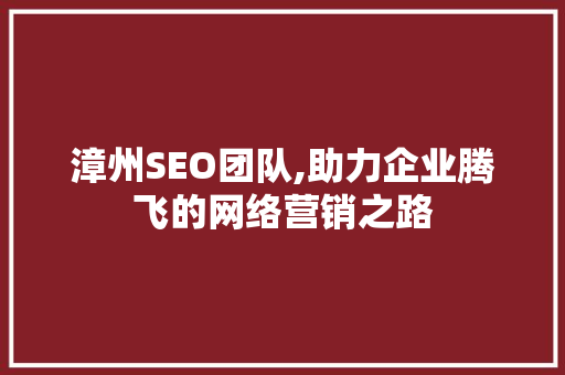 漳州SEO团队,助力企业腾飞的网络营销之路