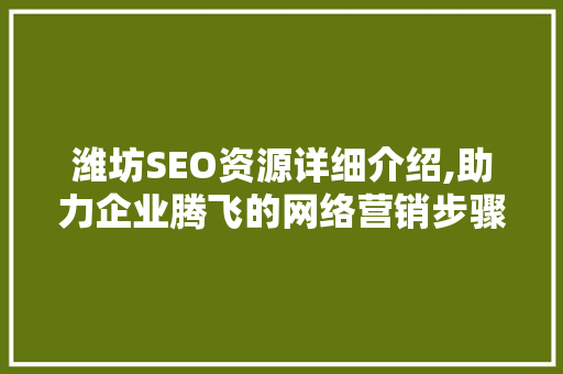 潍坊SEO资源详细介绍,助力企业腾飞的网络营销步骤