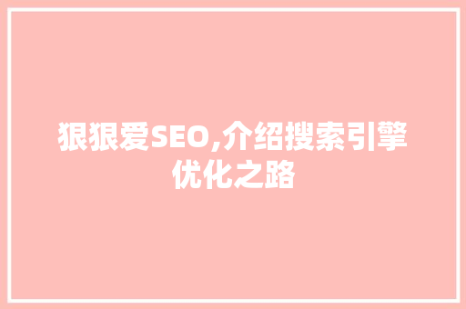 狠狠爱SEO,介绍搜索引擎优化之路  第1张