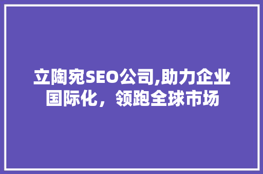 立陶宛SEO公司,助力企业国际化，领跑全球市场
