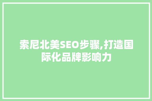 索尼北美SEO步骤,打造国际化品牌影响力  第1张