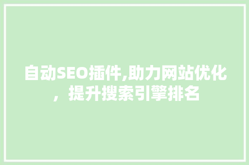 自动SEO插件,助力网站优化，提升搜索引擎排名