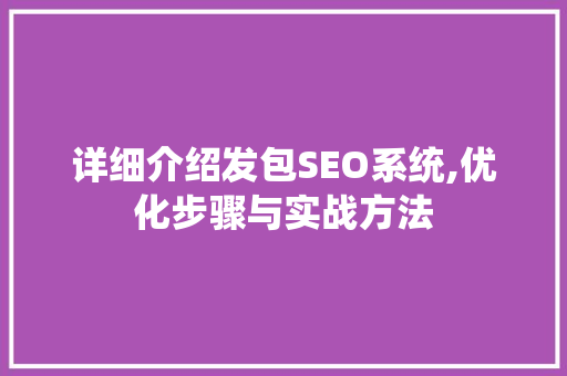 详细介绍发包SEO系统,优化步骤与实战方法