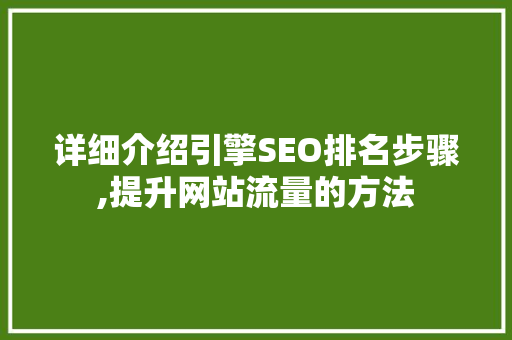 详细介绍引擎SEO排名步骤,提升网站流量的方法