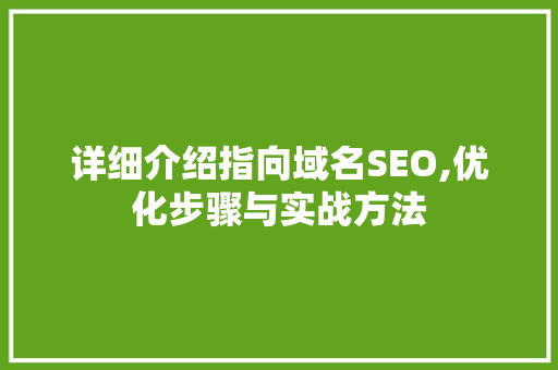 详细介绍指向域名SEO,优化步骤与实战方法  第1张