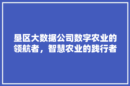 垦区大数据公司数字农业的领航者，智慧农业的践行者