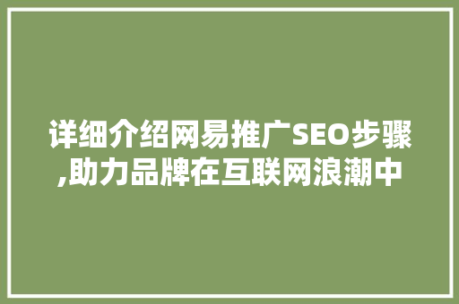 详细介绍网易推广SEO步骤,助力品牌在互联网浪潮中乘风破浪