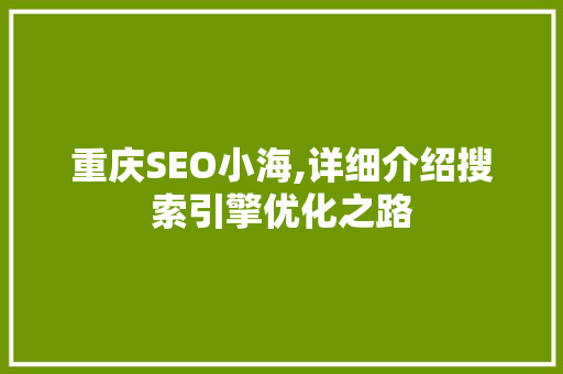 重庆SEO小海,详细介绍搜索引擎优化之路