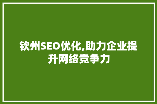 钦州SEO优化,助力企业提升网络竞争力