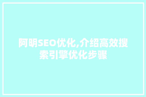 阿明SEO优化,介绍高效搜索引擎优化步骤