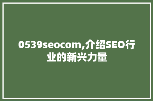 0539seocom,介绍SEO行业的新兴力量