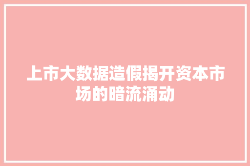 上市大数据造假揭开资本市场的暗流涌动