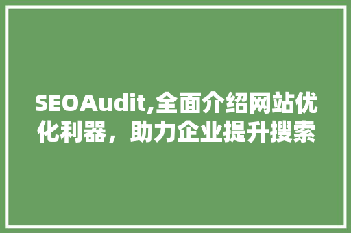 SEOAudit,全面介绍网站优化利器，助力企业提升搜索引擎排名