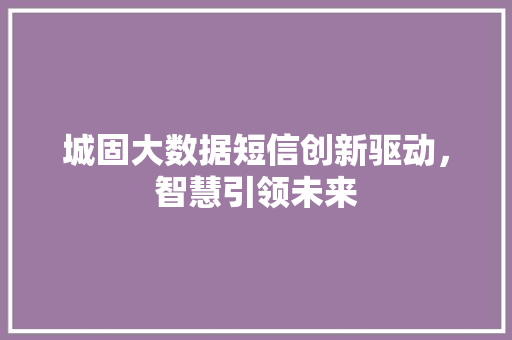 城固大数据短信创新驱动，智慧引领未来  第1张