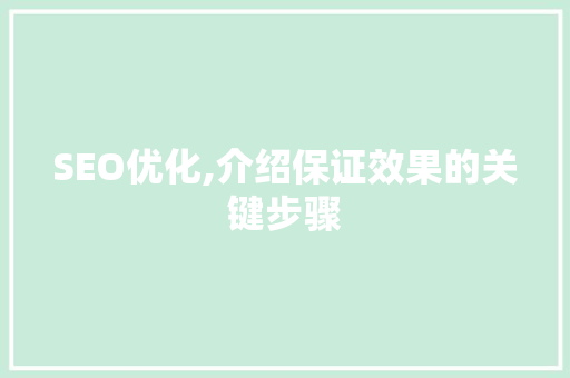 SEO优化,介绍保证效果的关键步骤