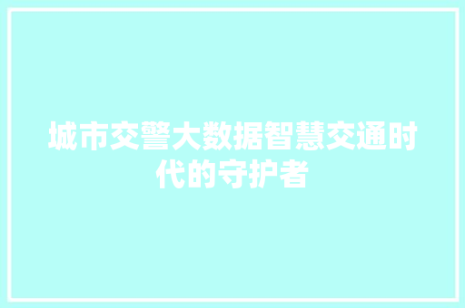 城市交警大数据智慧交通时代的守护者  第1张