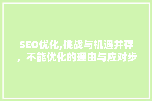 SEO优化,挑战与机遇并存，不能优化的理由与应对步骤