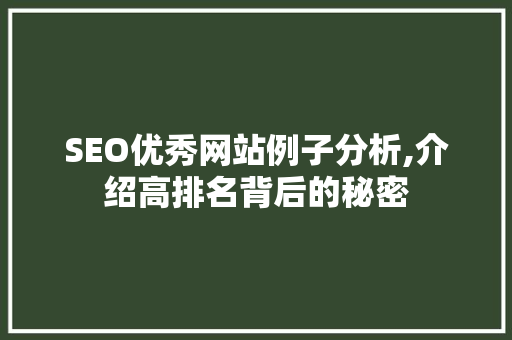 SEO优秀网站例子分析,介绍高排名背后的秘密