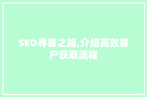 SEO寻客之路,介绍高效客户获取流程