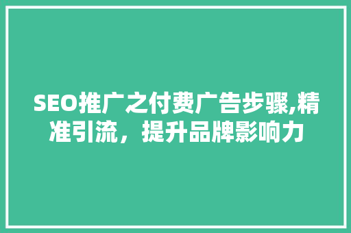 SEO推广之付费广告步骤,精准引流，提升品牌影响力