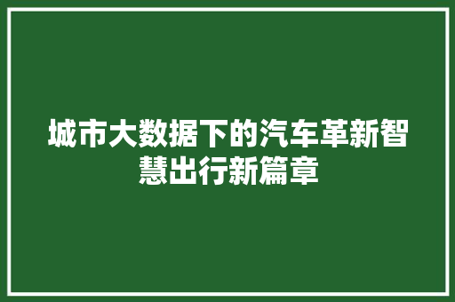 城市大数据下的汽车革新智慧出行新篇章  第1张