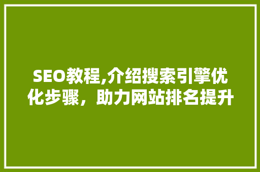 SEO教程,介绍搜索引擎优化步骤，助力网站排名提升