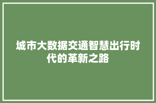城市大数据交通智慧出行时代的革新之路  第1张