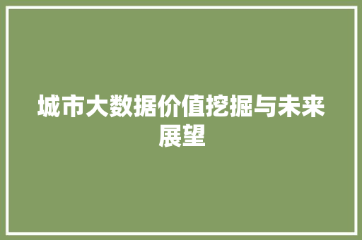 城市大数据价值挖掘与未来展望  第1张