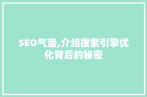 SEO气垫,介绍搜索引擎优化背后的秘密