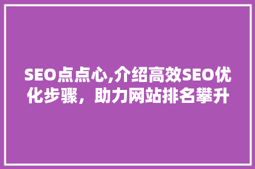 SEO点点心,介绍高效SEO优化步骤，助力网站排名攀升