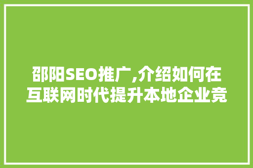 邵阳SEO推广,介绍如何在互联网时代提升本地企业竞争力