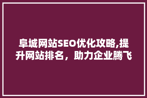 阜城网站SEO优化攻略,提升网站排名，助力企业腾飞  第1张