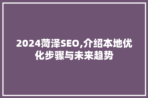 2024菏泽SEO,介绍本地优化步骤与未来趋势
