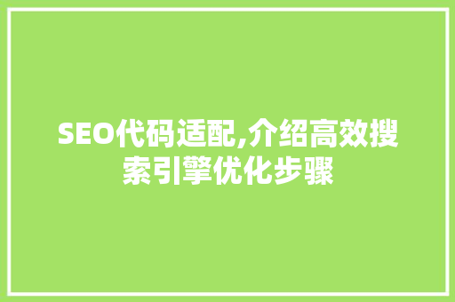 SEO代码适配,介绍高效搜索引擎优化步骤