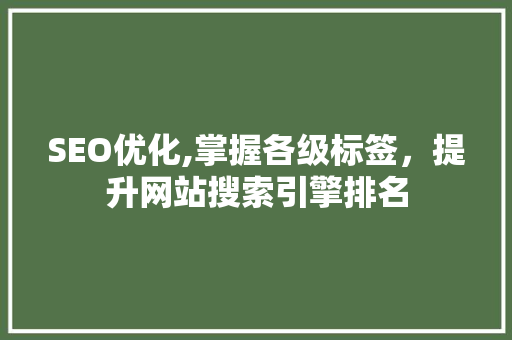 SEO优化,掌握各级标签，提升网站搜索引擎排名